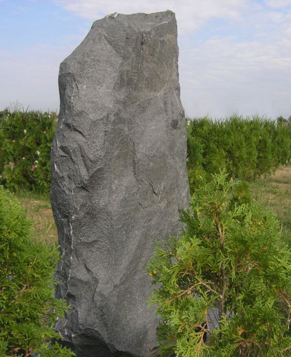 Заказать памятник Тольятти Шар. Дымовский гранит Можайск